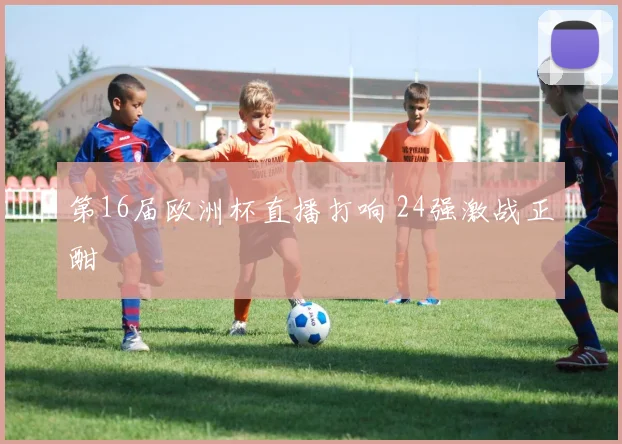 第16届欧洲杯直播打响 24强激战正酣